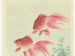 【二匹の金魚　Twee sluierstaart goudvissen】昭和時代‐大原古邨