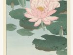 【花開く睡蓮　Flowering Water Lily】昭和時代‐大原古邨