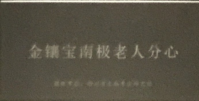 金鑲宝南极老人分心-物色-明代女子の生活芸術展-四川博物院-成都市