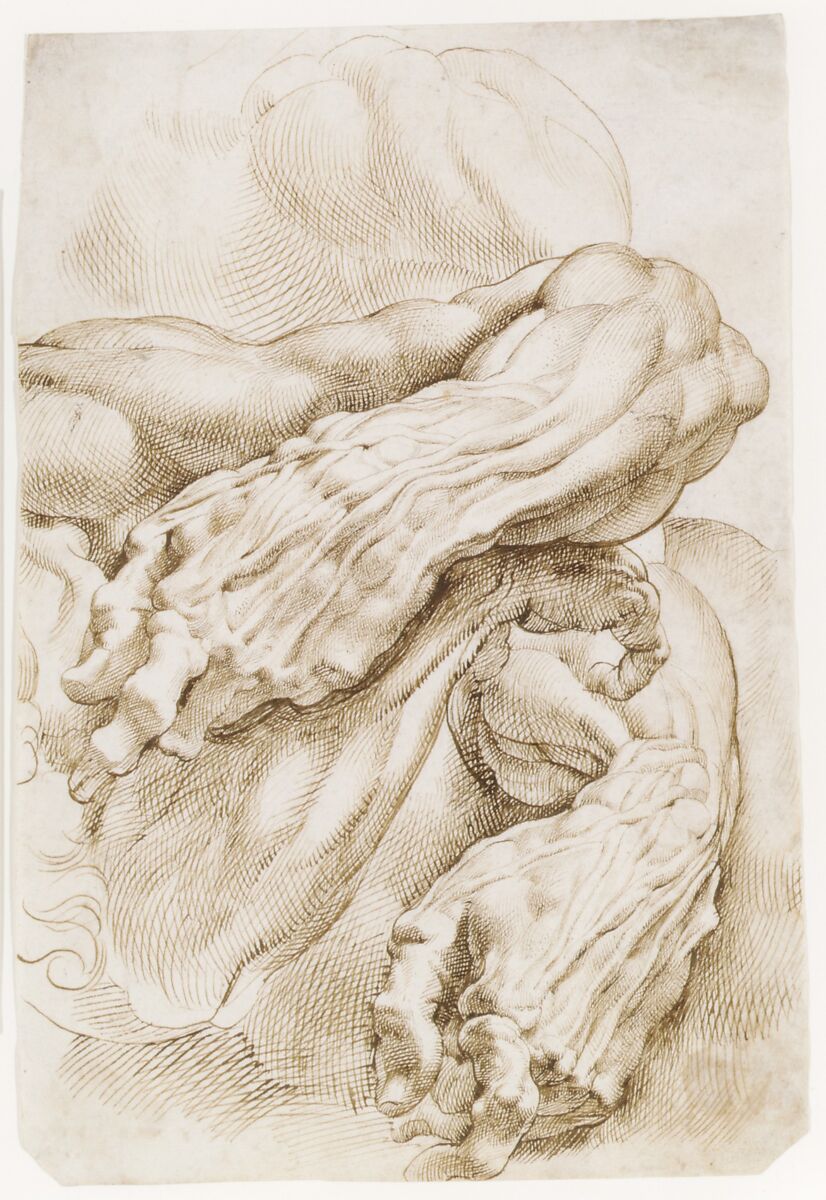 【解剖学の研究：左前腕の二つのポジションと右前腕　Anatomical Studies: a left forearm in two positions and a right forearm】フランドル画家ピーター・パウル・ルーベンス（Peter Paul Rubens）