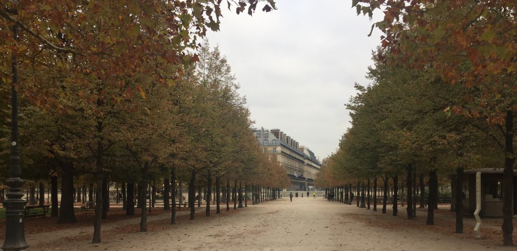 チュイルリー庭園-Jardin des Tuileries-2018年10月-パリ-フランス