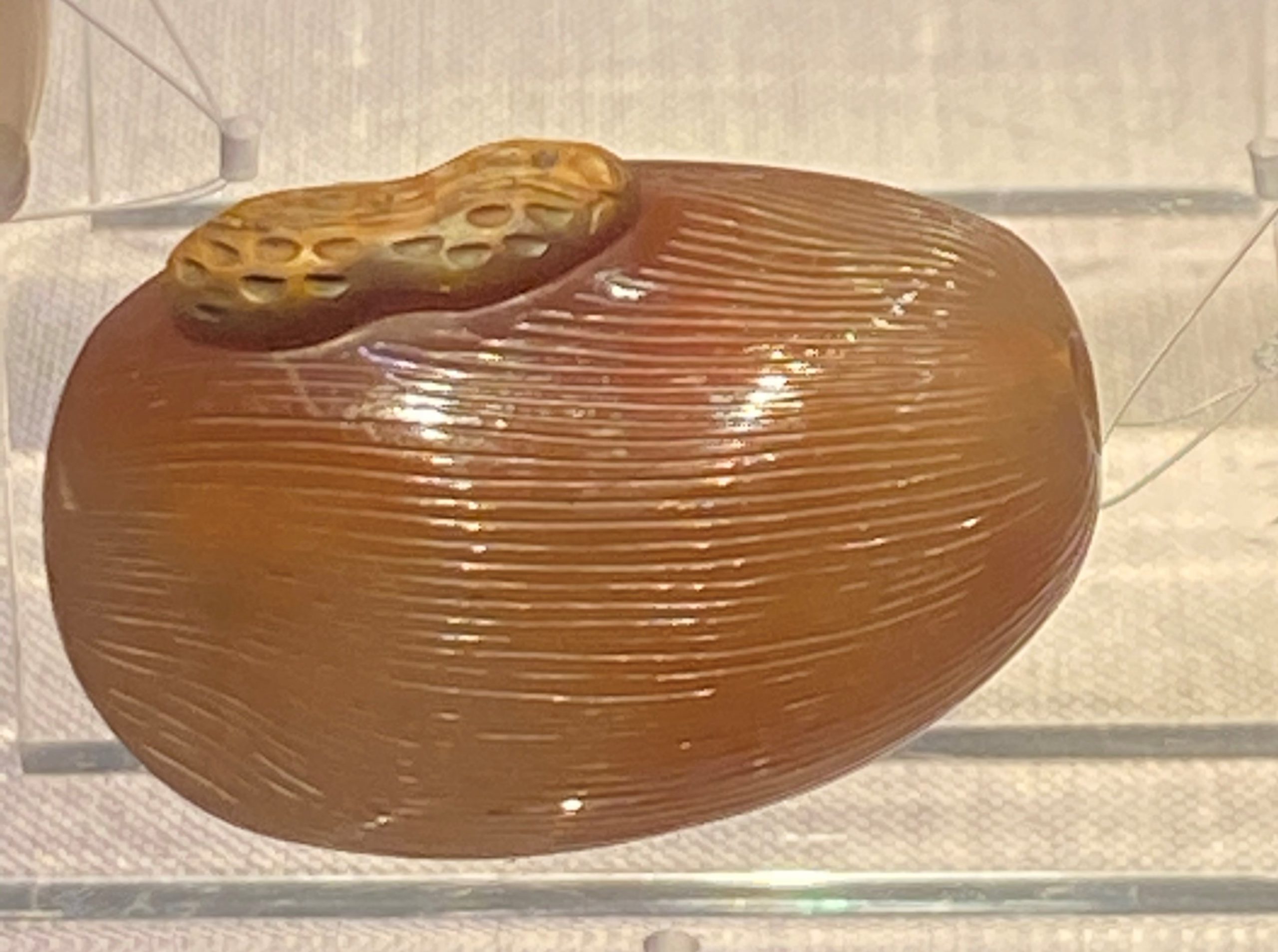 瑪瑙彫棗形鼻煙瓶-清時代-工藝美術館-四川博物館-成都