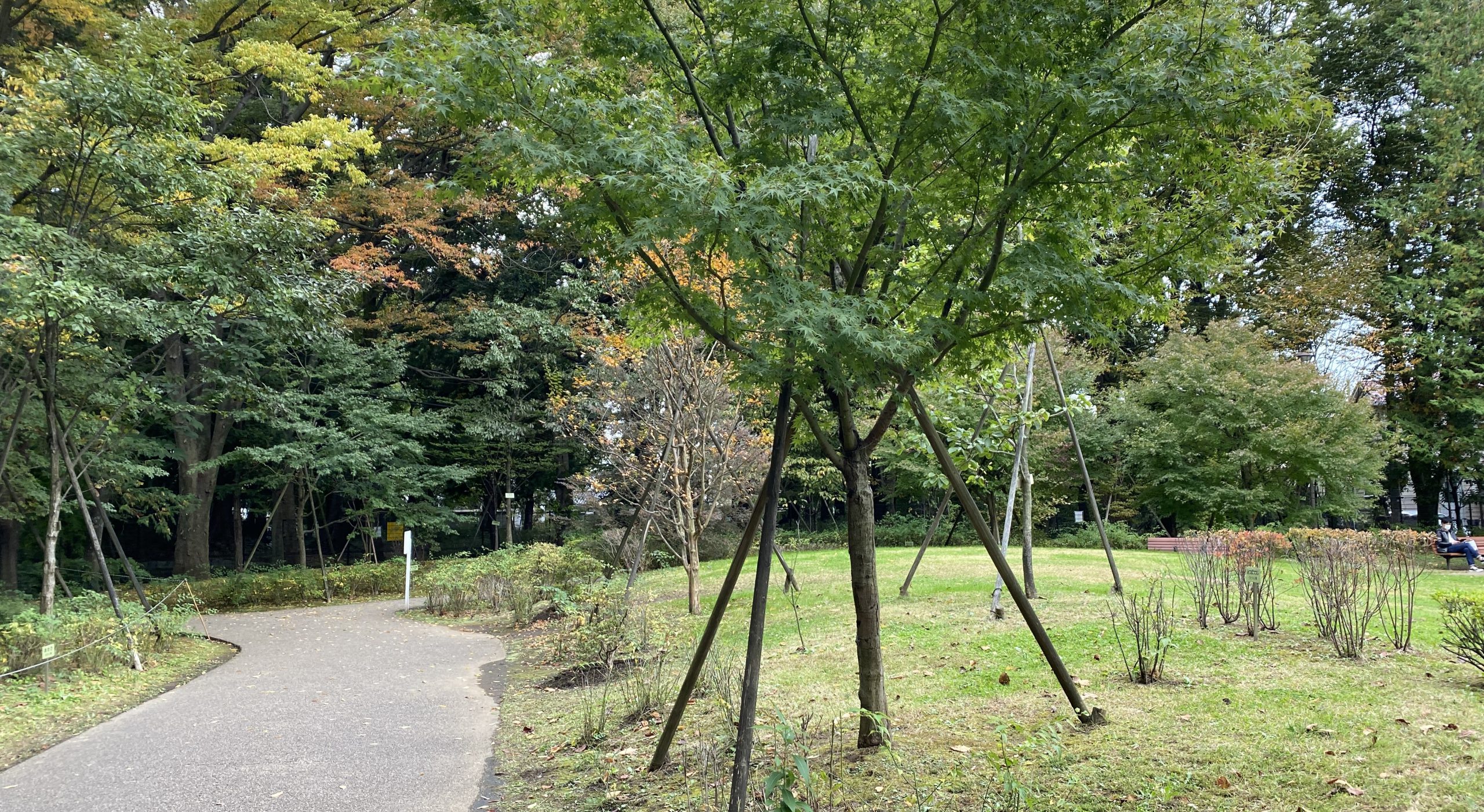 石神井松の風文化公園-練馬区立-東京