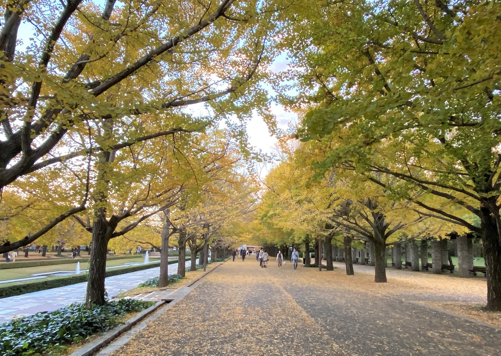 カナール-昭和記念公園-立川市-東京