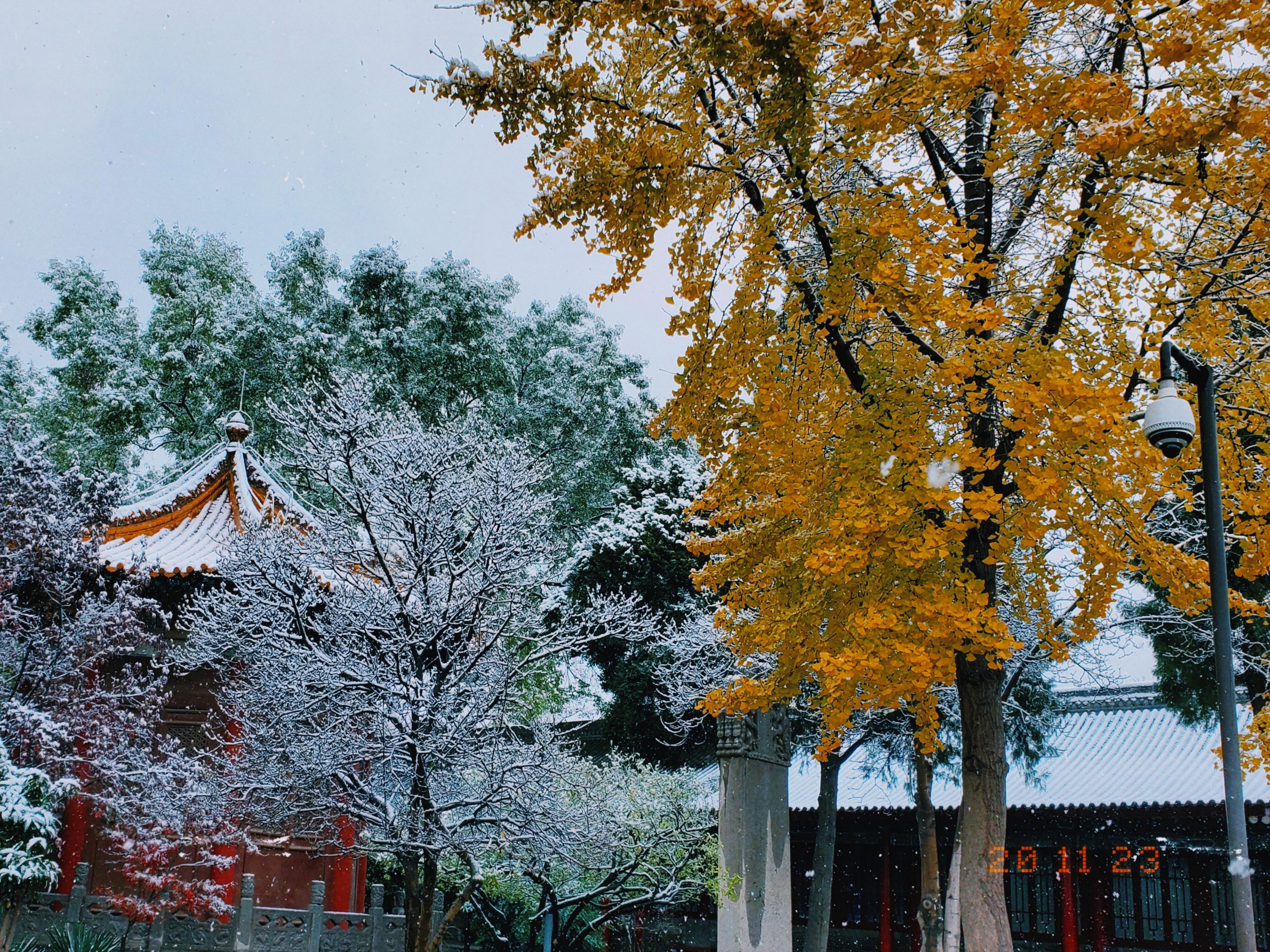 西安碑林博物館-西安市-陝西省-写真提供：郭一丹