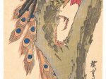 【楓に孔雀　A Peacock Perched on a Maple Tree】日本‐江戸時代‐歌川広重（Utagawa Hiroshige）