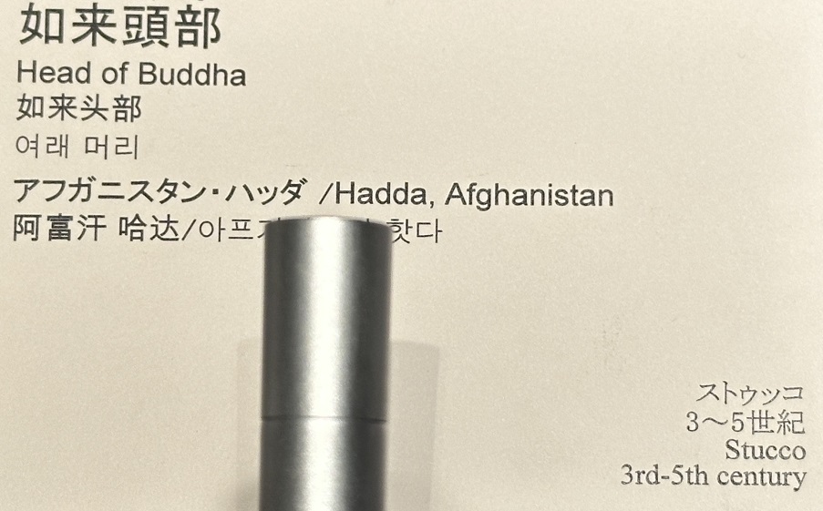 【如来頭部】アフガニスタン・ハッダ|3~5世紀|ストウッコ－常設展－東京国立博物館－東洋館