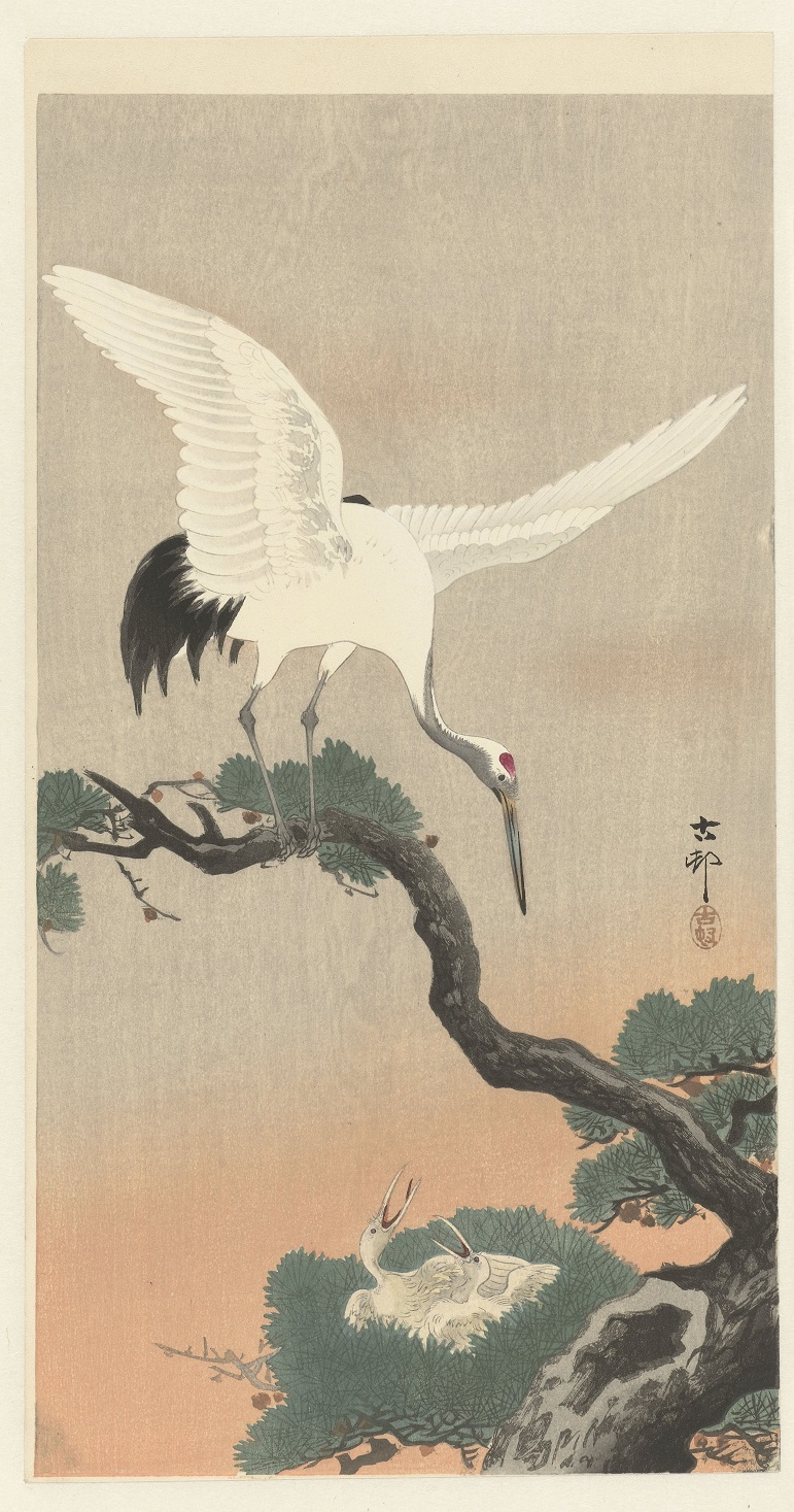 【松の木の枝にいる日本の鶴　Japanse kraanvogel op tak van pijnboom】大原古邨
