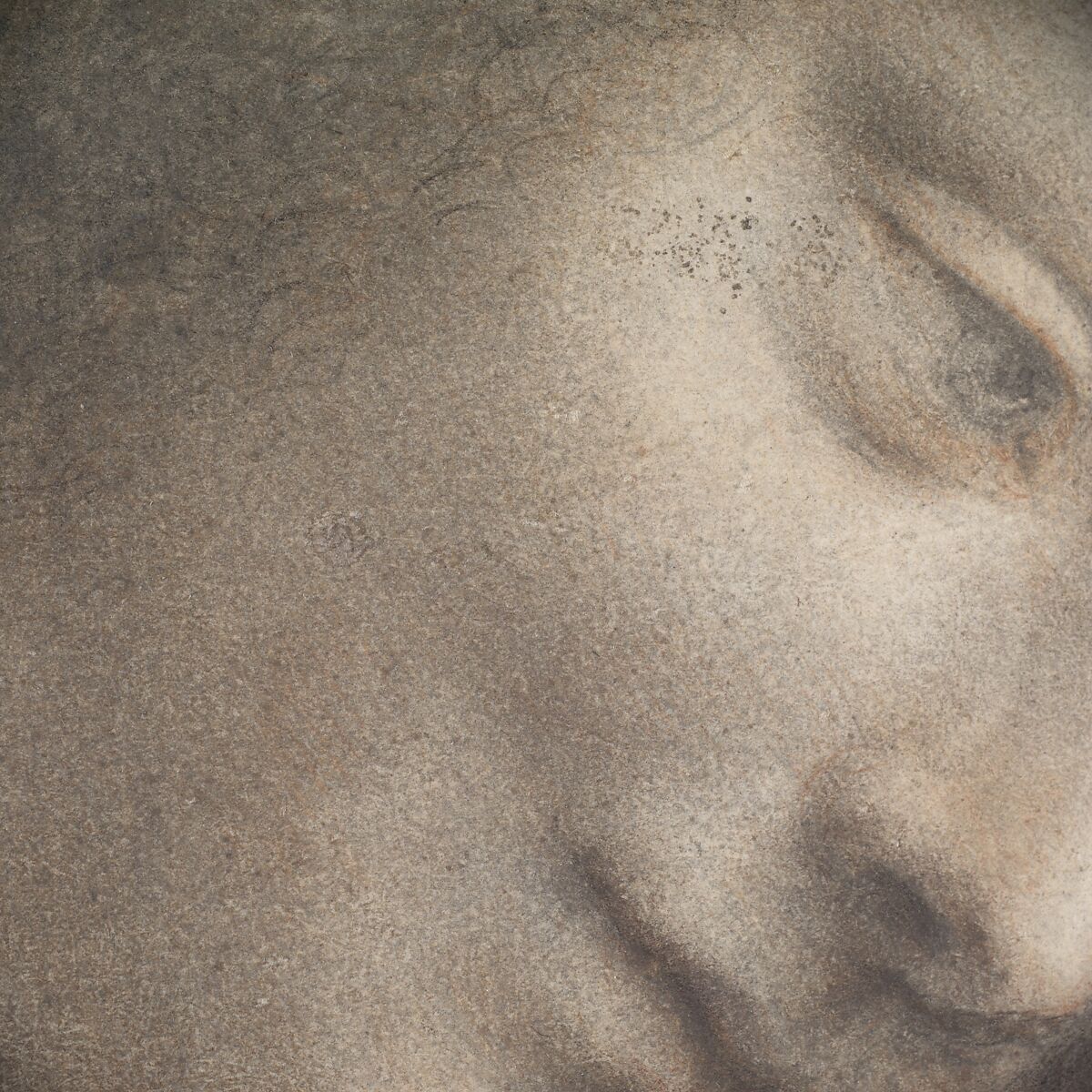 【右を向いた三分の一のビューでの聖母の頭部　The Head of the Virgin in Three-Quarter View Facing Right】イタリア・ルネサンス期画家レオナルド・ダ・ヴィンチ（Leonardo da Vinci）