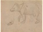 【歩く熊　A Bear Walking】イタリア・ルネサンス期画家レオナルド・ダ・ヴィンチ（Leonardo da Vinci）