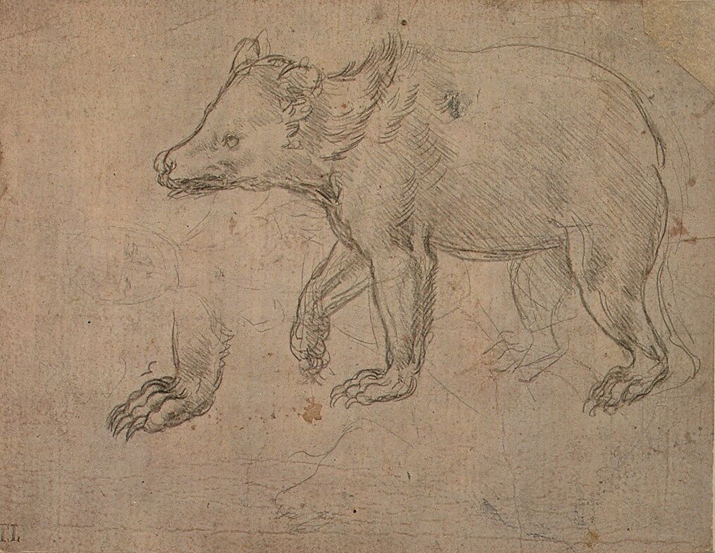 【歩く熊　A Bear Walking】イタリア・ルネサンス期画家レオナルド・ダ・ヴィンチ（Leonardo da Vinci）