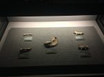 動物骨-展示ホール1-昔日の郷里-金沙遺跡博物館-成都市