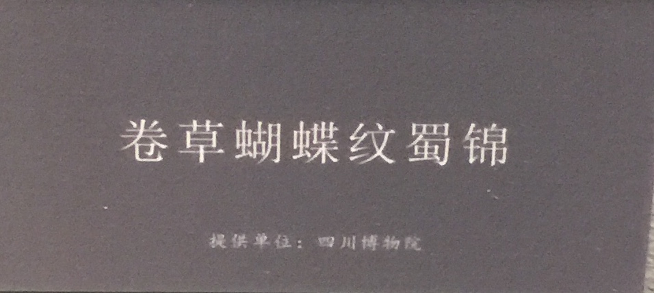 卷草蝴蝶紋蜀錦-物色-明代女子の生活芸術展-四川博物院-成都市