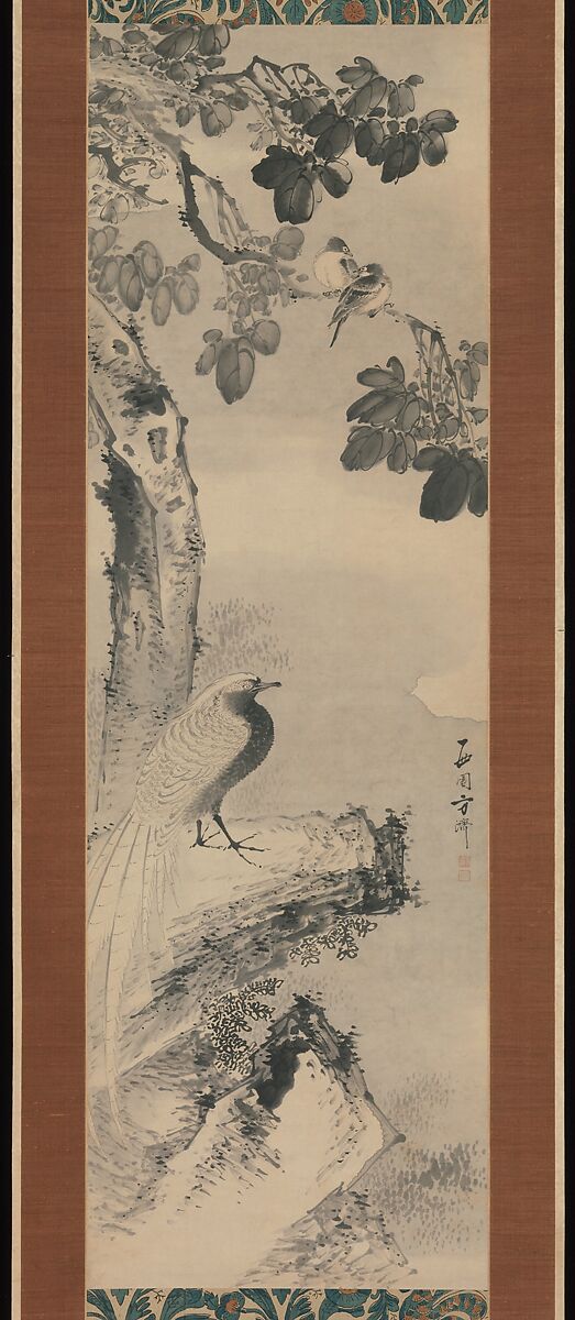【梧桐下錦鶏図　Pheasant beneath Paulownia Tree】江戸時代‐西園方済