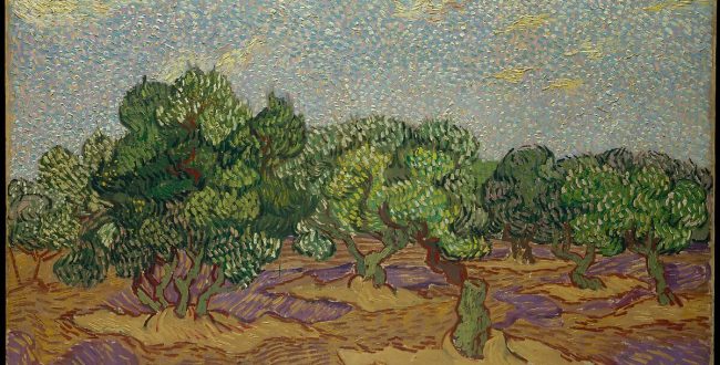 【オリーブの林】フィンセント・ファン・ゴッホ‐メトロポリタン美術館所蔵