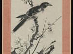 【梅に叭叭鳥図　Mynah Bird on Plum Branch】江戸時代‐西園方済