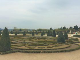 が-ヴェルサイユ宮殿の庭園-Château de Versailles-2018年10月-パリ郊外-フランス