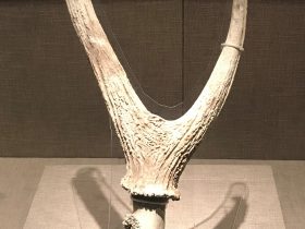 鹿角-先秦時代-常設展F２-成都博物館