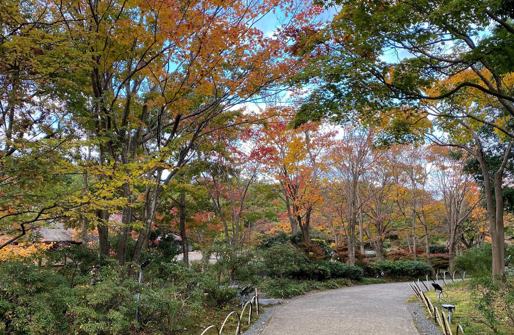日本庭園-国営昭和記念公園-立川市-東京