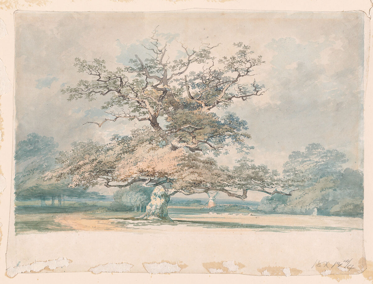 【古いオーク（またはブナ）の木の風景　 A landscape with an old oak (or beech) tree】イギリス‐ロマン主義画家‐ジョセフ・マロード・ウィリアム・ターナー（Joseph Mallord William Turner）