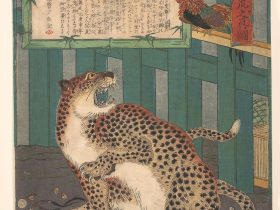 【今昔未見 生物猛虎之真図　Never Seen Before: True Picture of a Live Wild Tiger (Konjaku miken, Ikimono mōko no shinzu)】日本‐江戸時代‐河鍋暁斎