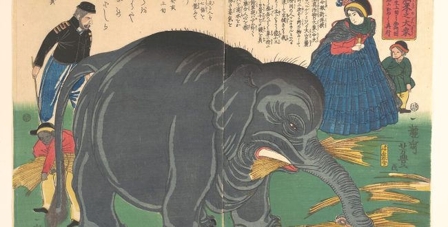 【新渡舶来之大象　Newly Imported Great Elephant (Shinto hakurai no daizō)】日本‐江戸時代‐一龍斎芳豊（Ichiryūsai Yoshitoyo）