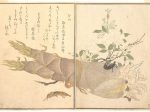 【『画本虫撰』の「けら」「はさみむし」　Mole Cricket (Kera); Earwig, (Hasami-mushi), from the Picture Book of Crawling Creatures (Ehon mushi erami)】日本‐江戸時代‐喜多川歌麿