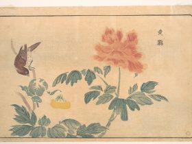 【黄雀と牡丹　Chinese Oriole and Peonies】日本‐江戸時代‐鍬形蕙斎