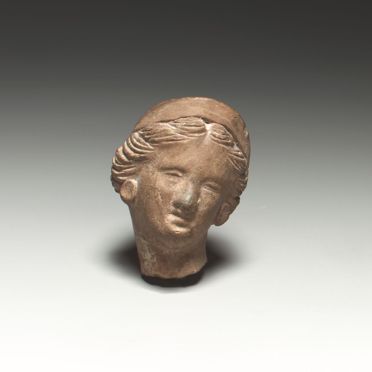 【テラコッタ製女性頭部　Terracotta female head】ギリシャ‐ヘレニズム後期