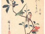 【椿に目白と四十雀図　apanese White-eye and Titmouse on a Camellia Branch】日本‐江戸時代‐歌川広重