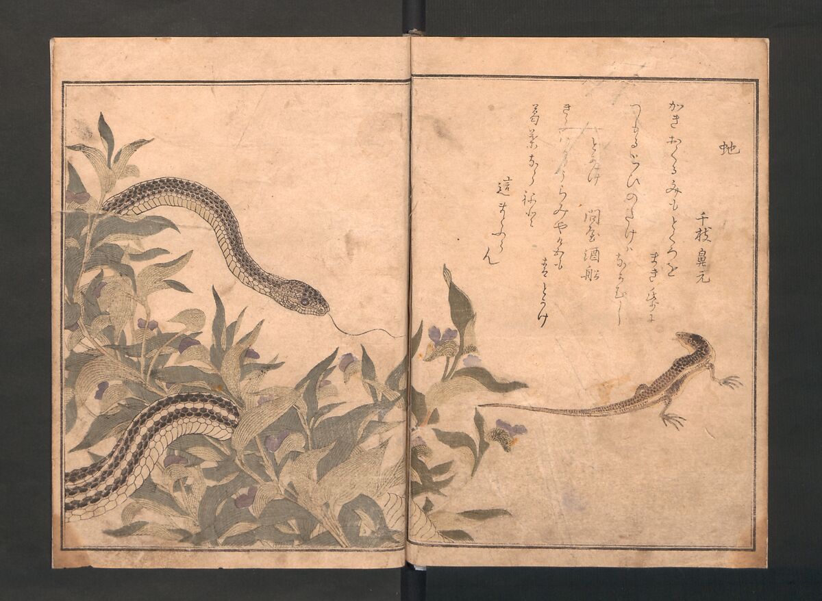 【画本虫撰裏見　Picture Book of Crawling Creatures (The Insect Book) (Ehon mushi erami)】日本‐江戸時代‐北川歌‐