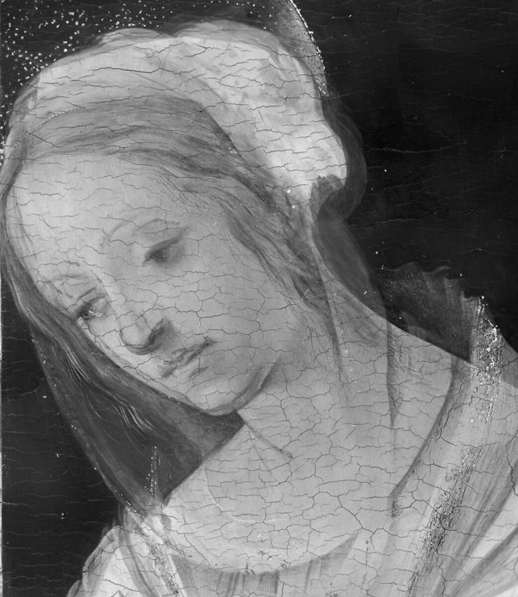 【聖母子像　Madonna and Child】イタリア‐ルネサンス期‐画家フィリッピノ・リッピ（Filippino Lippi）