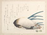 【摺物帖「春雨集」鴨と葱　Spring Rain Collection (Harusame shū), vol. 1: Duck and Scallions】日本‐江戸時代‐柳々居 辰斎