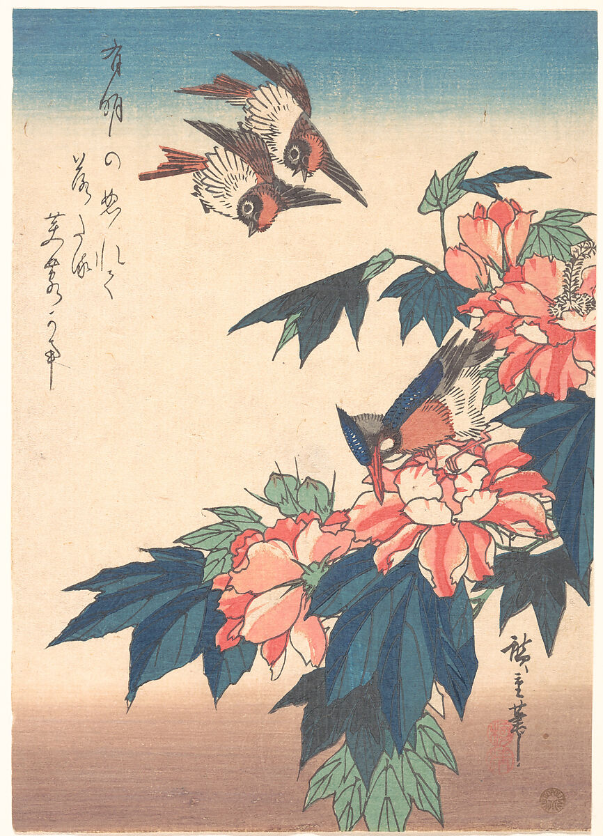 【紅蜀葵に燕と川蝉図　Swallows and Kingfisher with Rose Mallows】日本‐江戸時代‐歌川広重