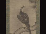 【松鷹図　Hawk on a Pine】日本‐室町時代‐狩野之信