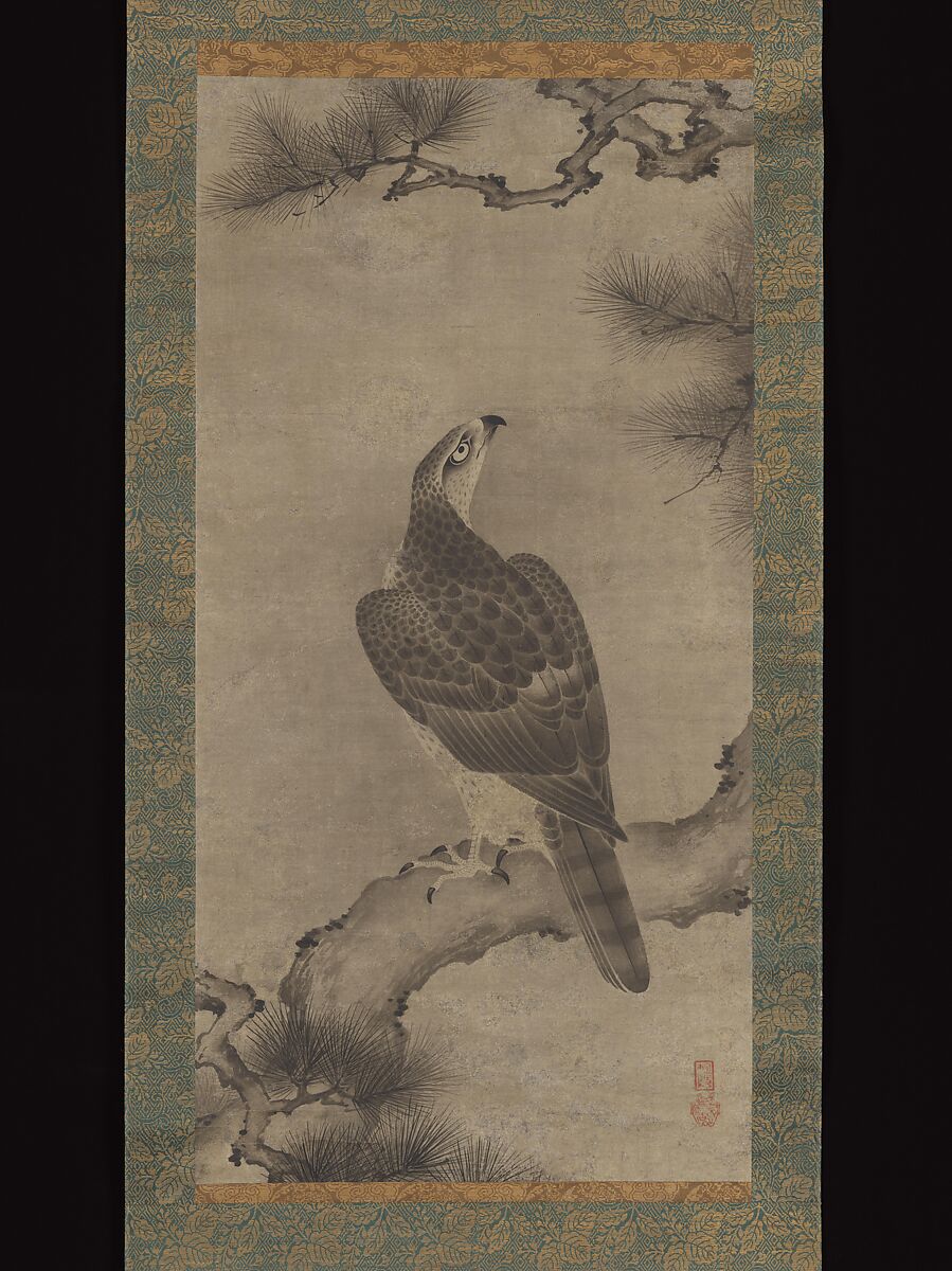 【松鷹図　Hawk on a Pine】日本‐室町時代‐狩野之信