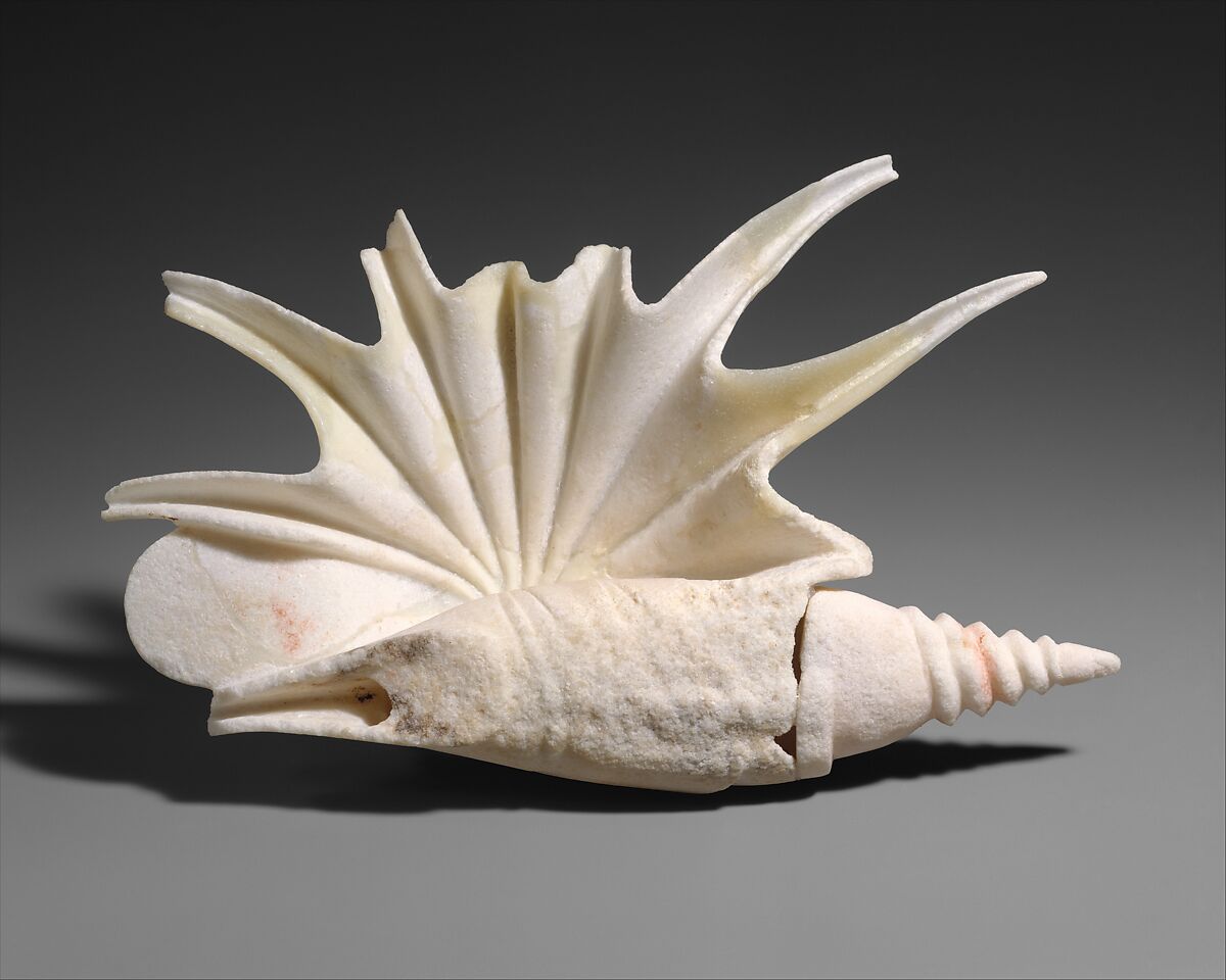 【大理石の貝殻　 Marble shell】ギリシャ文化
