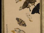【様々な題材の漆絵：蝶　Lacquer Paintings of Various Subjects: Butterflies】日本-明治時代‐柴田是真