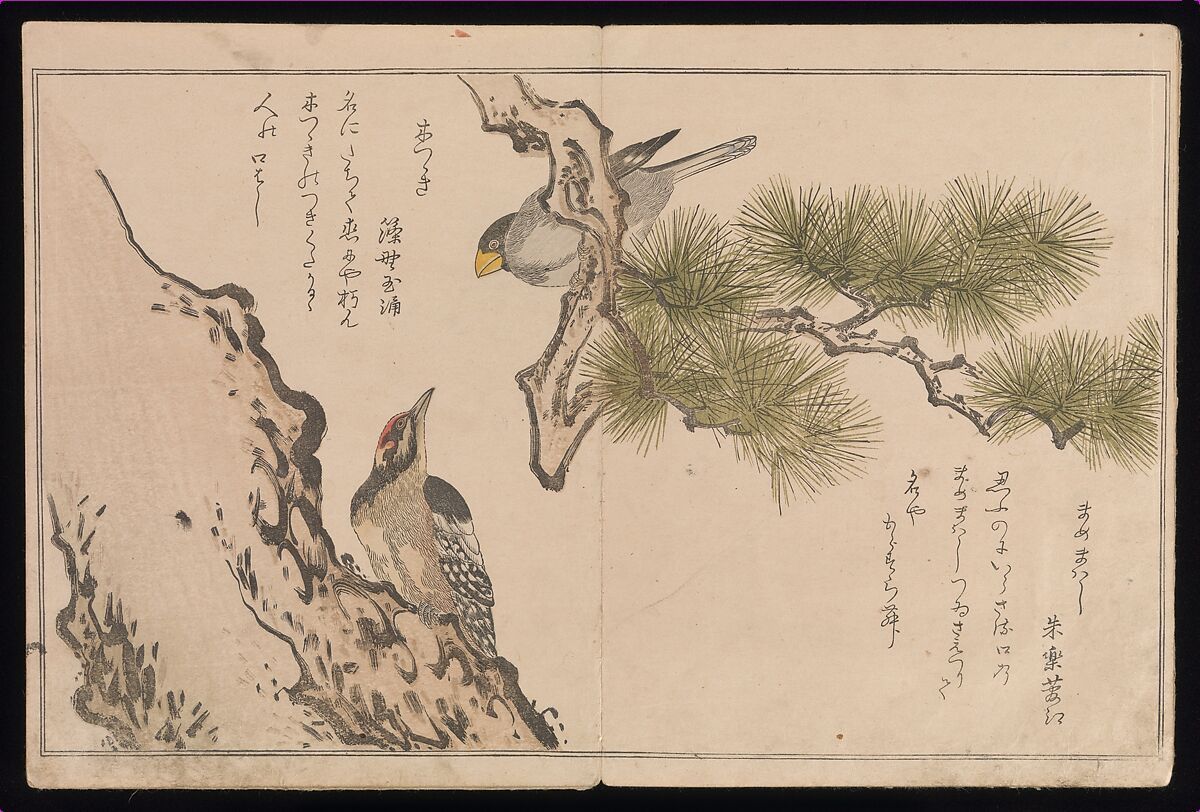 【百千鳥狂歌合　Myriad Birds:A Playful Poetry Contest (Momo chidori kyōka-awase), 2 vols.】日本-江戸時代‐北川歌麿