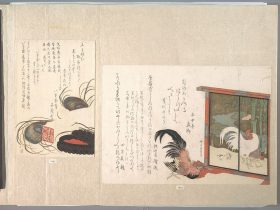 【鶏図衝立を見る鶏　Cock Eyeing a Free-standing Screen Painted with Cock, Hen, and Chicks, from Spring Rain Surimono Album (Harusame surimono-jō), vol. 1】日本-江戸時代‐柳川しげのぶ