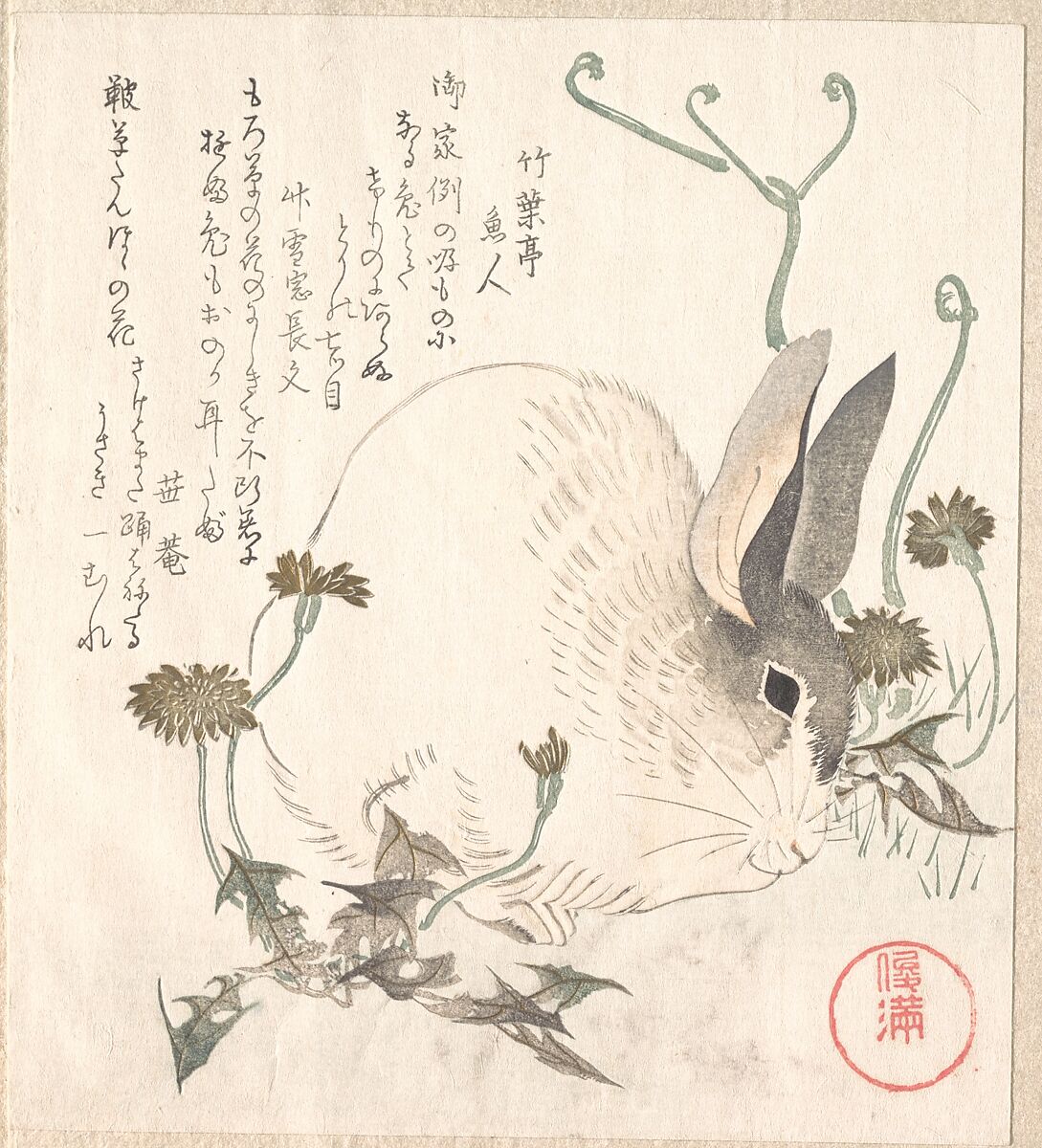 【ハレとタンポポ？　Hare and Dandelion?】日本-江戸時代‐久保春満