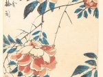 【バラ　 Rose】日本-江戸時代‐歌川広重