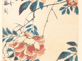 【バラ　 Rose】日本-江戸時代‐歌川広重