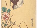 【バラと雀　Roses and Sparrow】日本-歌川広重‐江戸時代