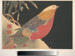 【雪中のキンケイ　Golden Pheasant in the Snow】日本-江戸時代‐伊藤若冲