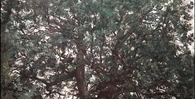 【樫の木】ロヴィス・コリントー国立西洋美術館収蔵