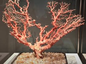 【珊瑚樹鉢植置物】鉢高橋凌雲－皇居三の丸尚蔵館収蔵