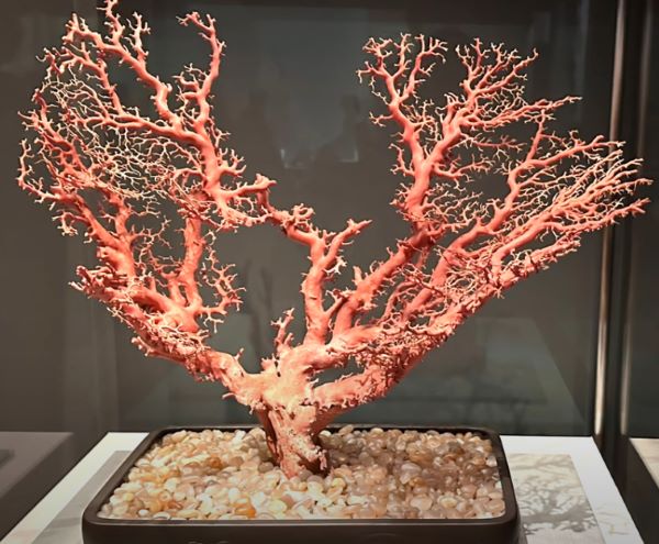 【珊瑚樹鉢植置物】鉢高橋凌雲-皇居三の丸尚蔵館収蔵