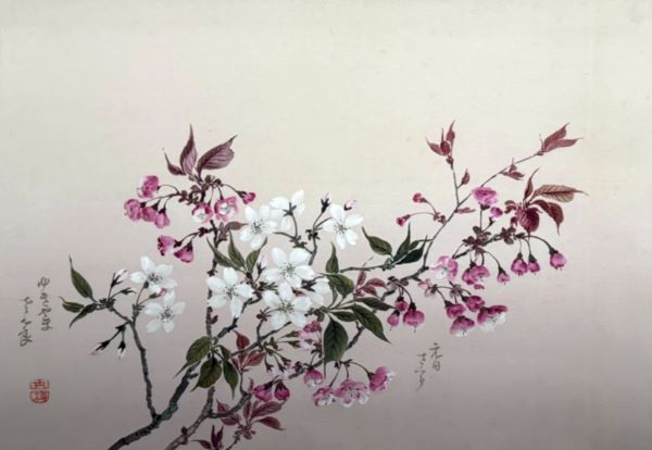 【桜花図巻】跡見玉枝‐東京国立近代美術館所蔵
