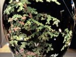 【七宝四季花鳥図花瓶】並河靖之－皇居三の丸尚蔵館所蔵